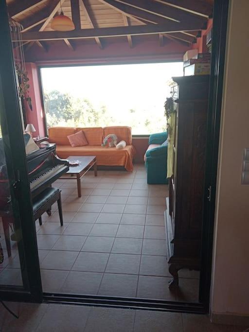 Apartamento Loft With Amazing View